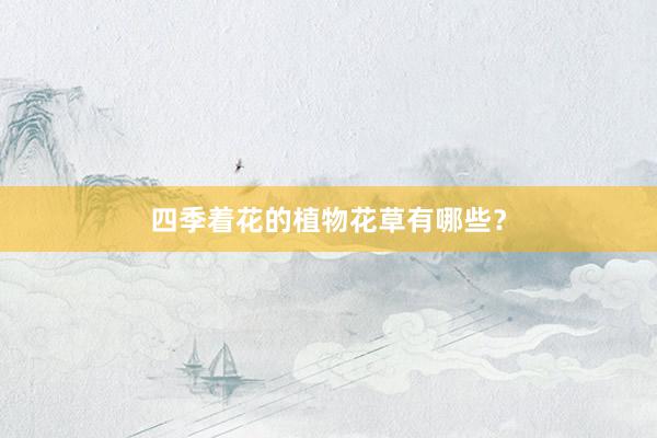 四季着花的植物花草有哪些？